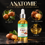 Charger l'image dans la galerie, Huile d'Argan Cosmétique - Cosmetic Argan Oil- زيت  أرغان — visuel Anatomy, illustration publicitaire
